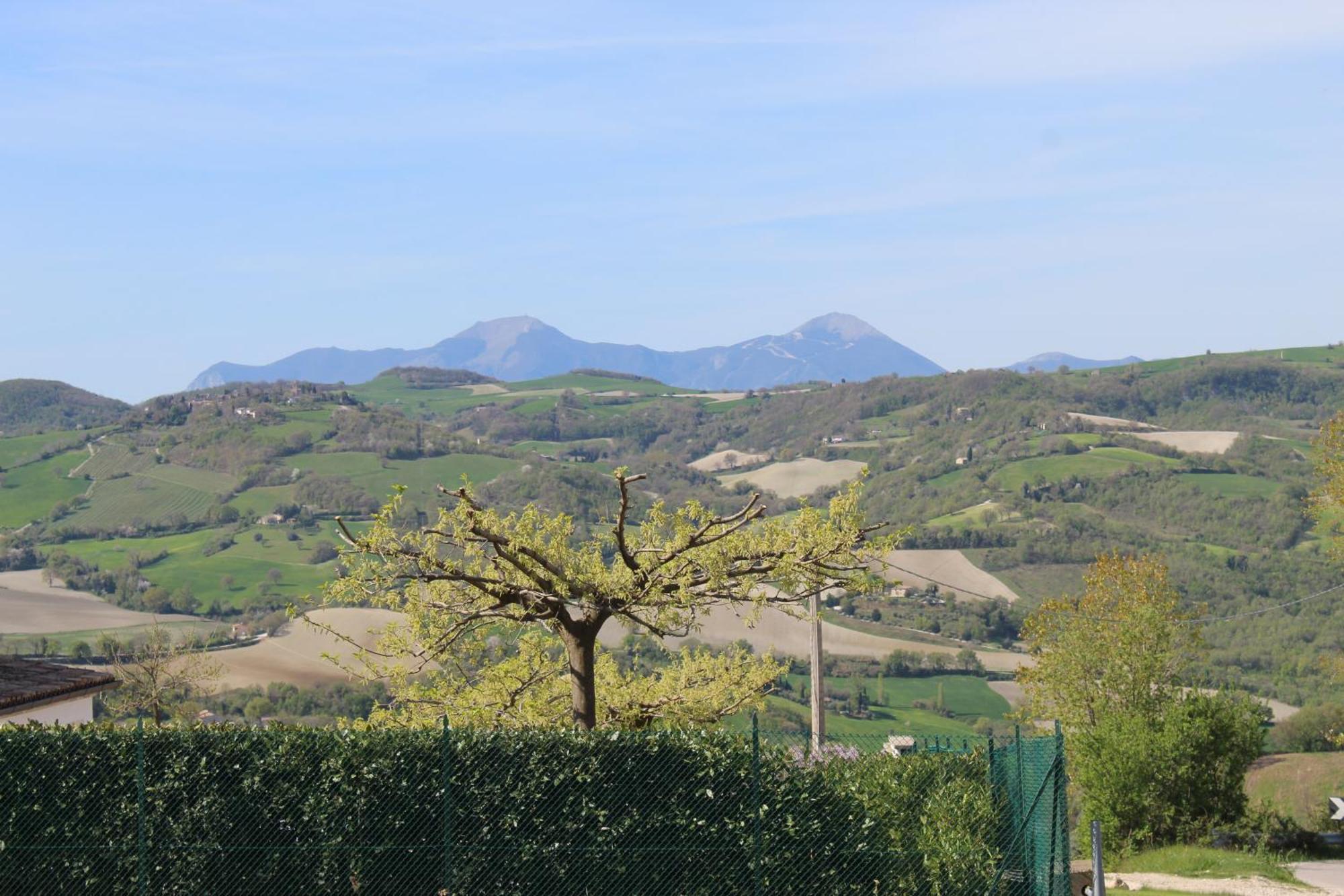 Casa Borgo Fonte Villa Castelleone di Suasa Eksteriør bilde