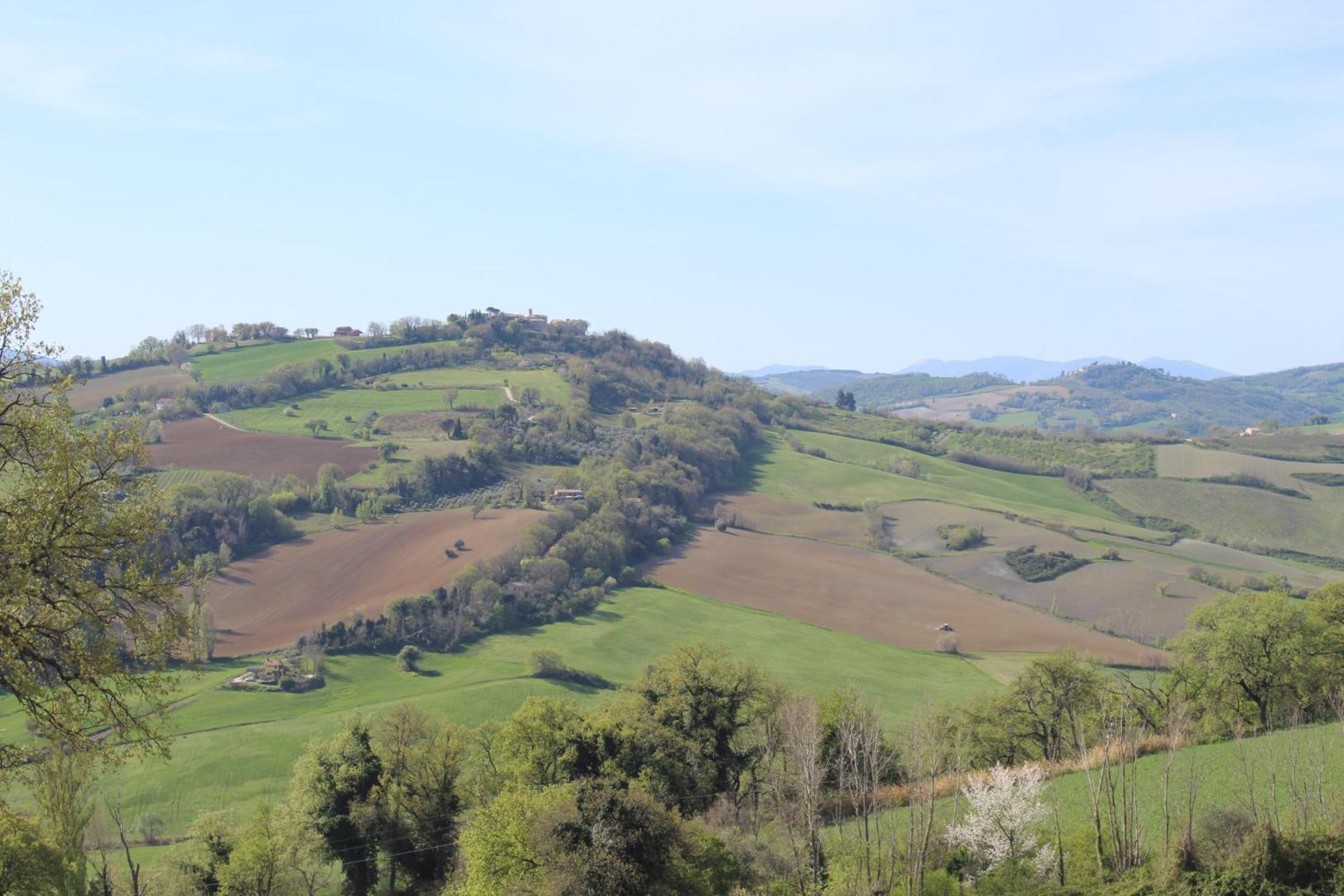 Casa Borgo Fonte Villa Castelleone di Suasa Eksteriør bilde