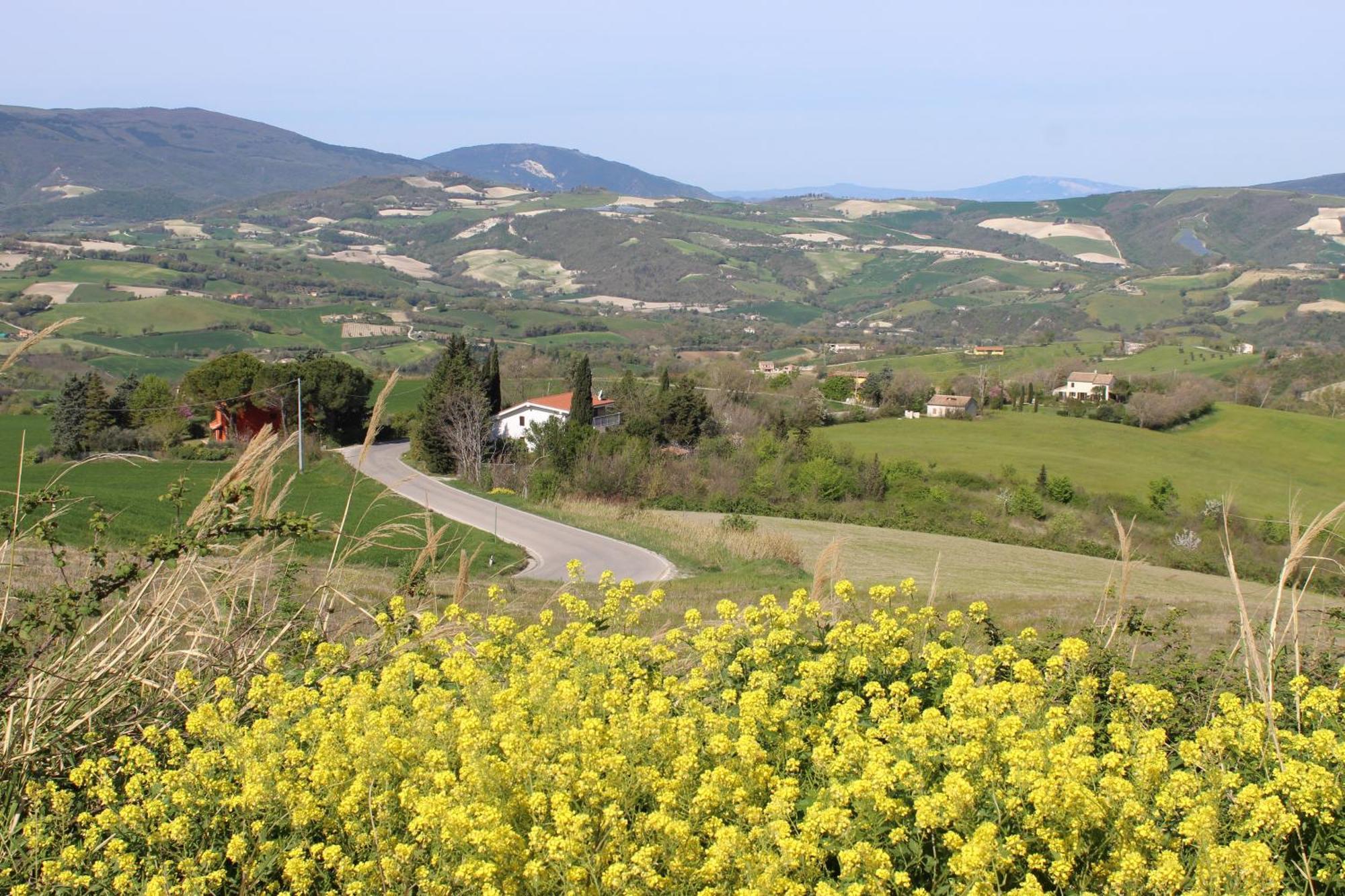 Casa Borgo Fonte Villa Castelleone di Suasa Eksteriør bilde